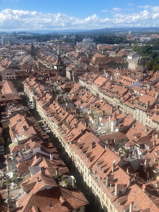 Berner Münster